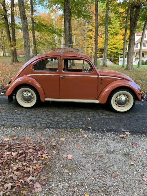 Volkswagen Beetle - Classic 1957 image number 1