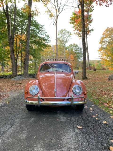 Volkswagen Beetle - Classic 1957 image number 15