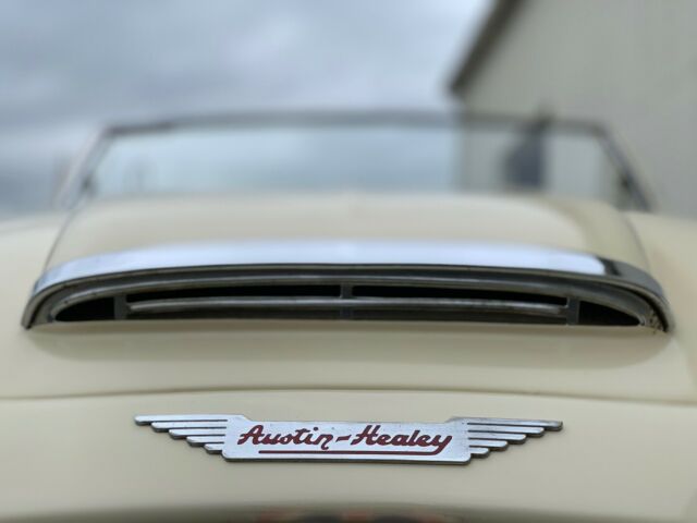 Austin Healey 100-6 1958 image number 46