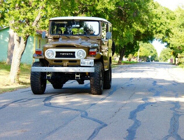 Toyota Land Cruiser 1978 image number 14