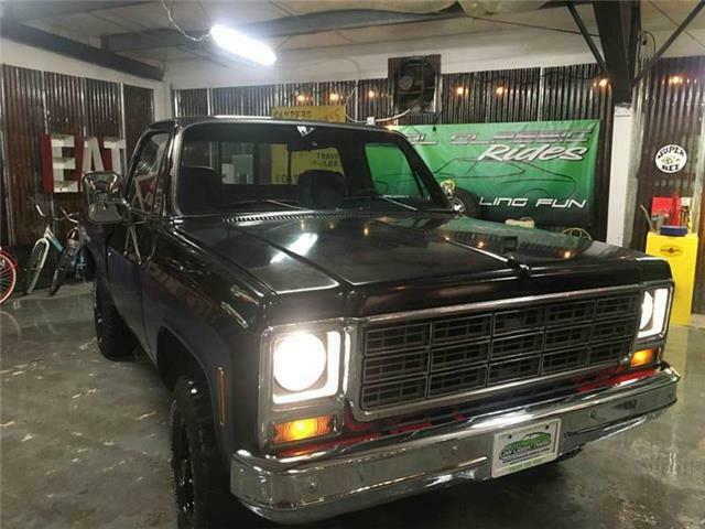 Chevrolet C/K Pickup 1500 1979 image number 2