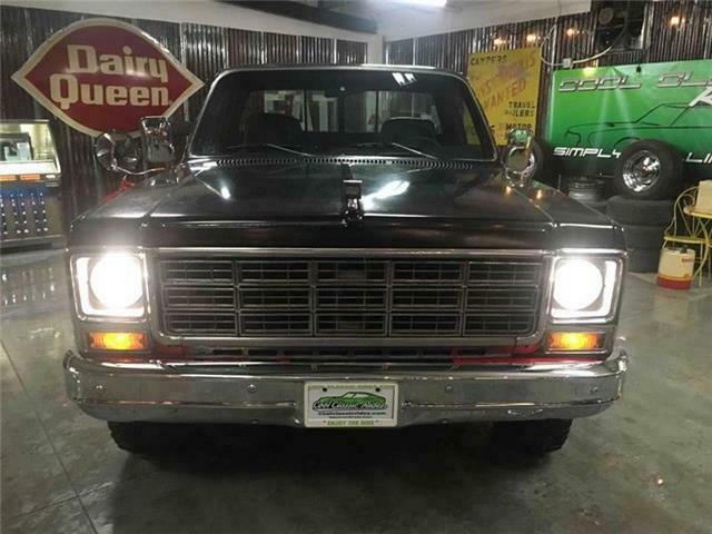 Chevrolet C/K Pickup 1500 1979 image number 28