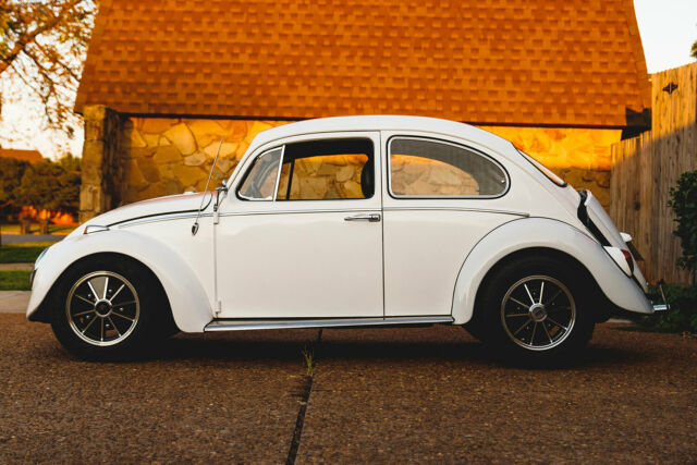 Volkswagen Beetle - Classic 1965 image number 13