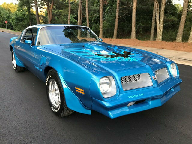 Pontiac Trans Am 1976 image number 15