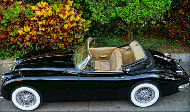 Jaguar XK 1959 image number 14