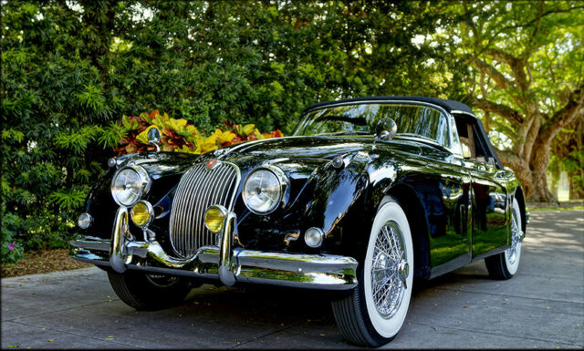 Jaguar XK 1959 image number 16