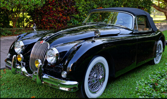 Jaguar XK 1959 image number 17