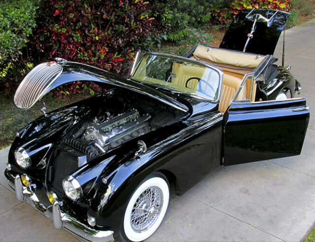 Jaguar XK 1959 image number 18