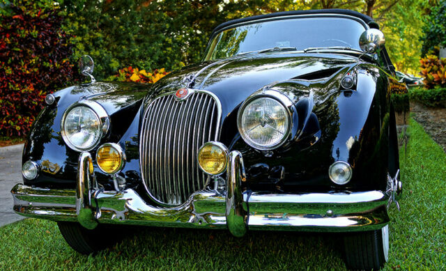 Jaguar XK 1959 image number 22