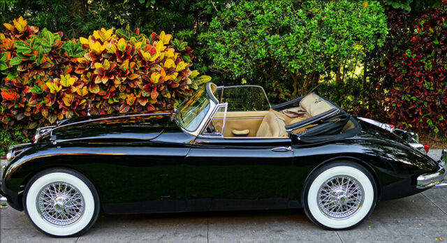 Jaguar XK 1959 image number 28