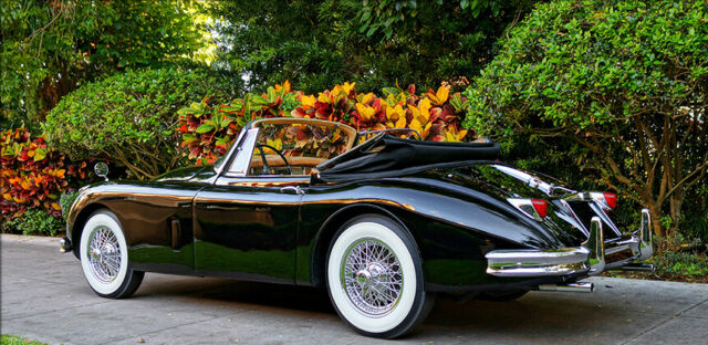 Jaguar XK 1959 image number 29