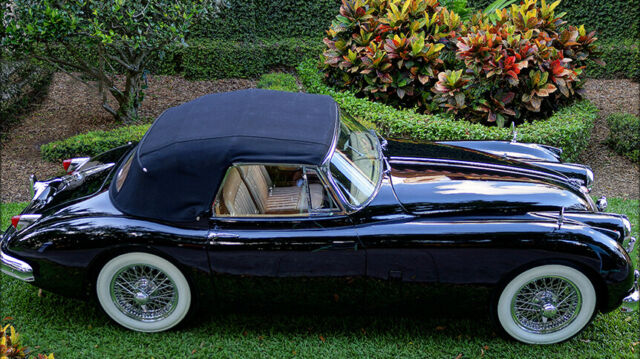 Jaguar XK 1959 image number 31