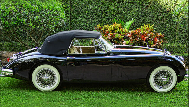 Jaguar XK 1959 image number 32