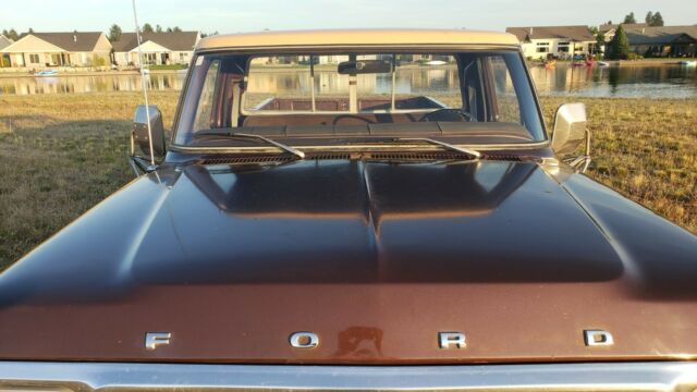 Ford F-150 1978 image number 3