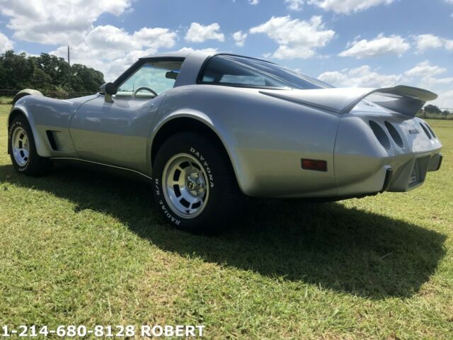 Chevrolet Corvette 1979 image number 30