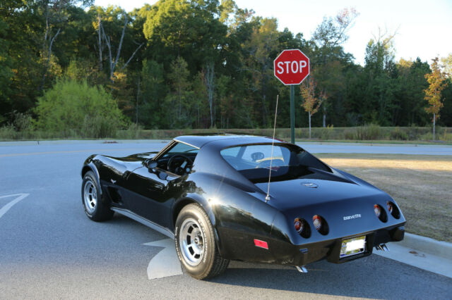 Chevrolet Corvette 1977 image number 10