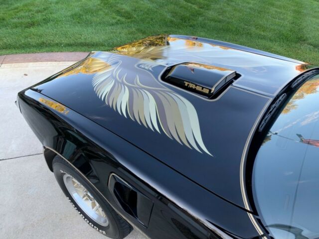 Pontiac Trans Am 1979 image number 16