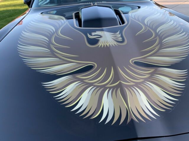 Pontiac Trans Am 1979 image number 33