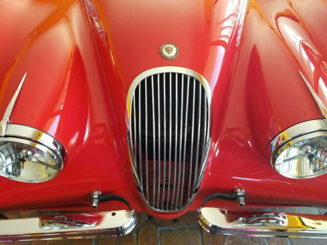 Jaguar XK 1954 image number 7