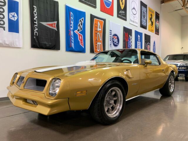 Pontiac Firebird 1976 image number 0