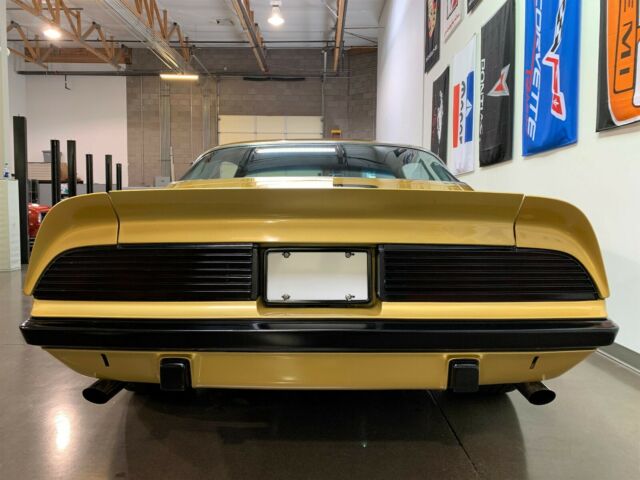 Pontiac Firebird 1976 image number 6