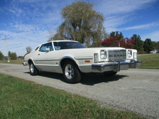 Ford Torino 1975 image number 10