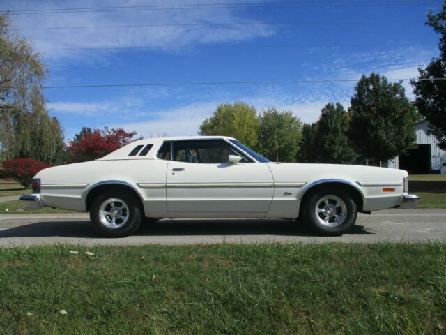 Ford Torino 1975 image number 37