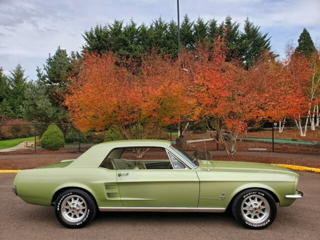 Ford Mustang 1967 image number 14