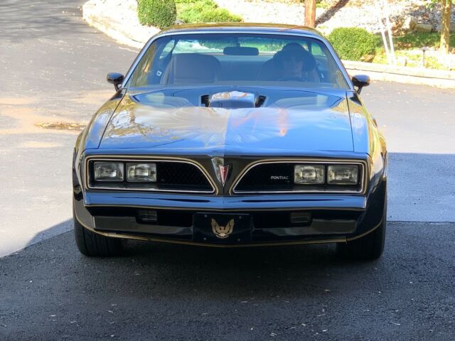 Pontiac Trans Am 1978 image number 1