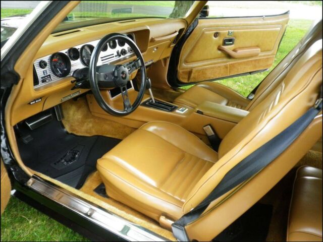 Pontiac Trans Am 1978 image number 11