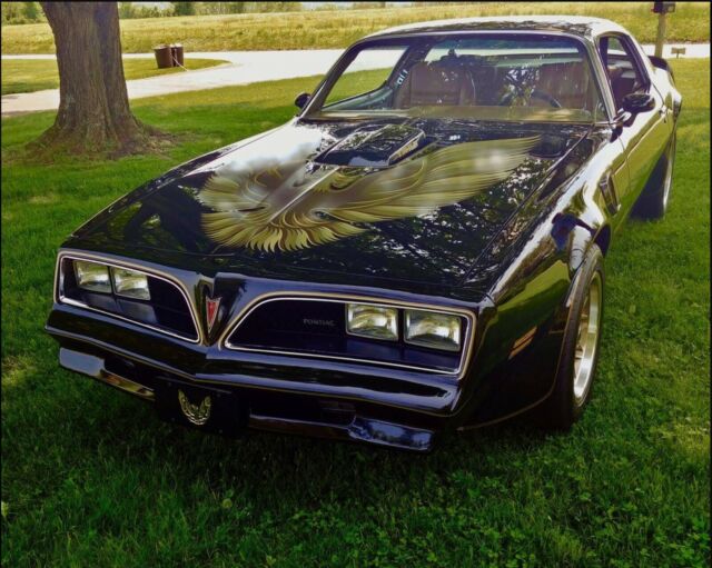 Pontiac Trans Am 1978 image number 2