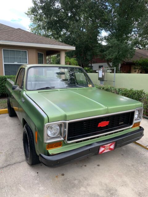 Chevrolet C-10 1974 image number 10