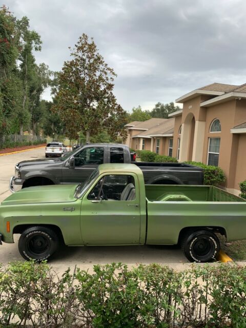 Chevrolet C-10 1974 image number 5