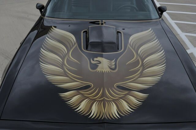 Pontiac Trans Am 1979 image number 10