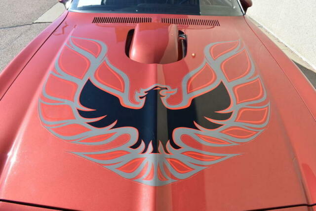 Pontiac Trans Am 1976 image number 27