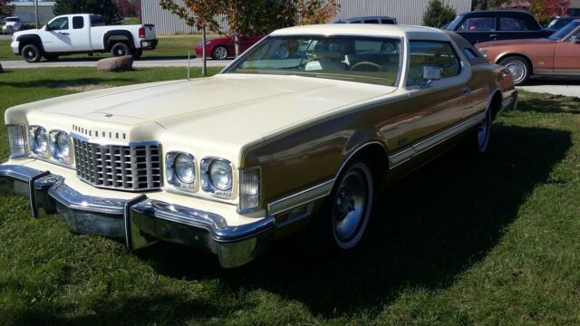 Ford Thunderbird 1976 image number 19