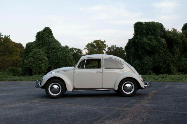 Volkswagen Beetle - Classic 1966 image number 20