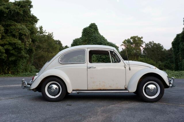 Volkswagen Beetle - Classic 1966 image number 21