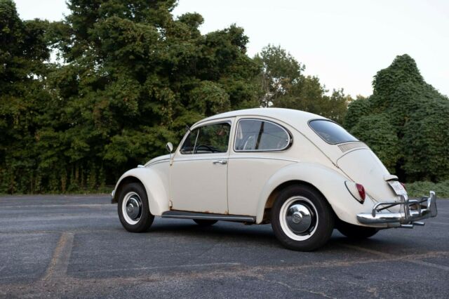 Volkswagen Beetle - Classic 1966 image number 22