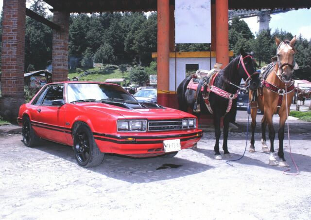 Ford Mustang 1979 image number 16