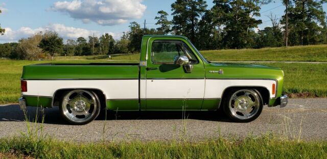 Chevrolet C-10 1976 image number 28