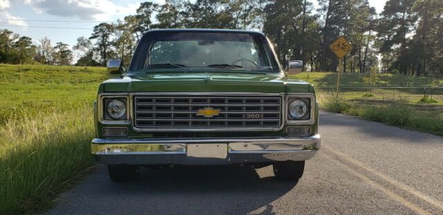 Chevrolet C-10 1976 image number 29