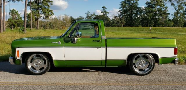 Chevrolet C-10 1976 image number 3