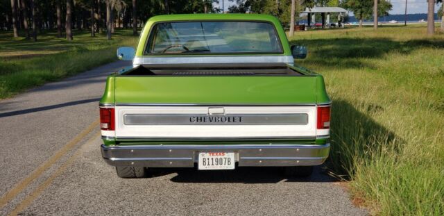 Chevrolet C-10 1976 image number 6