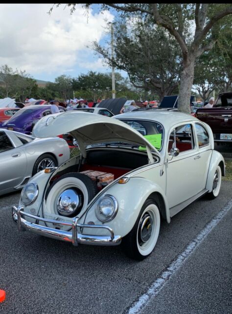 Volkswagen Beetle - Classic 1966 image number 24