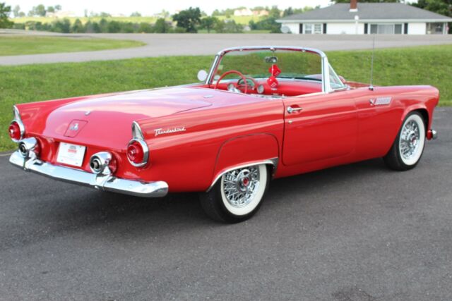 Ford Thunderbird 1955 image number 1