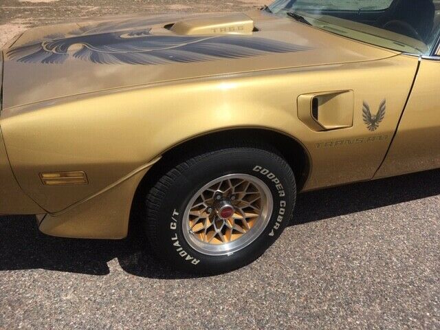 Pontiac Trans Am 1979 image number 19