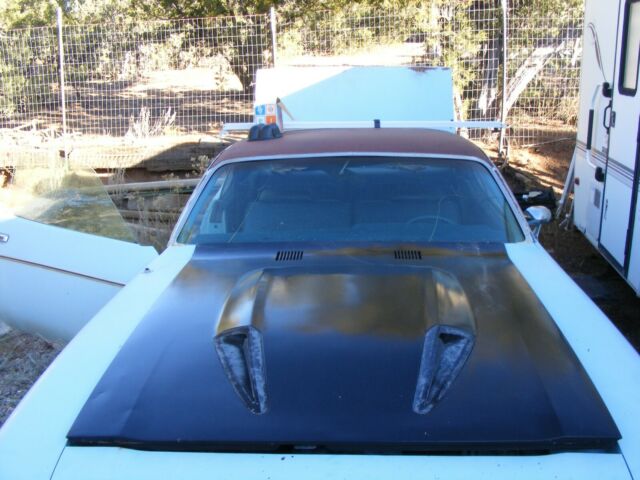 Plymouth Satellite 1974 image number 46