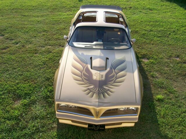 Pontiac Trans Am 1978 image number 0