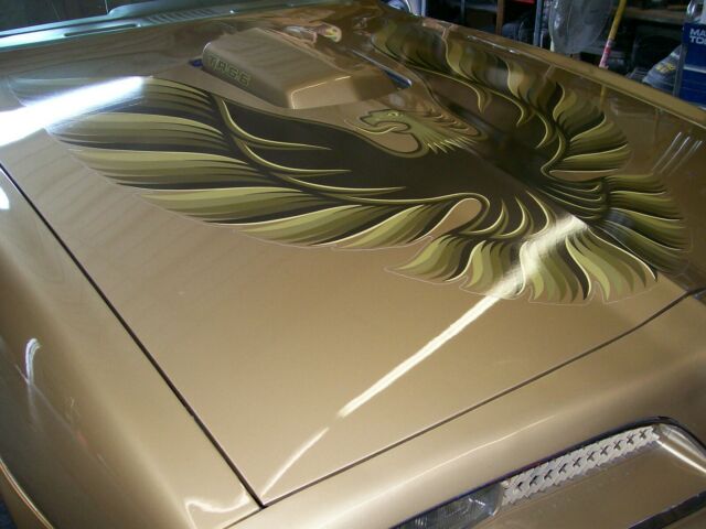 Pontiac Trans Am 1978 image number 22